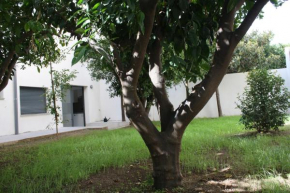  Residencia Mayol - Adults Only  Пальма-Де-Майорка